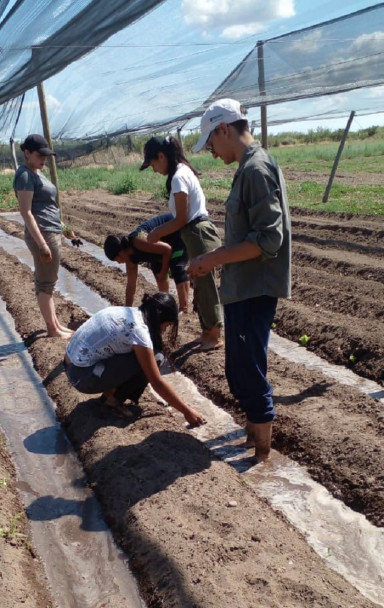 imagen Agroecología en ITU San Rafafel: el proyecto que se hará realidad gracias al Programa Mauricio López