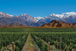 imagen Histórica obra hídrica en Mendoza: inauguran en el Sur un acueducto para abastecer 420 mil hectáreas agrícolas