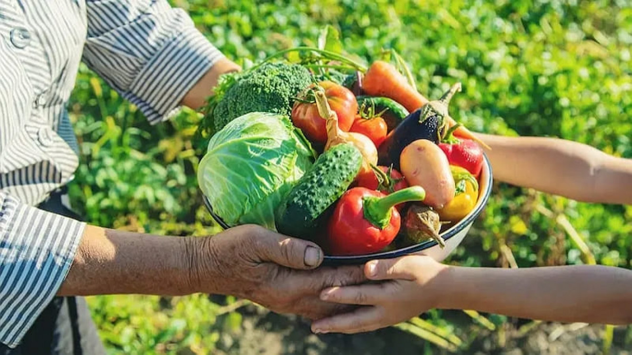 imagen Un proyecto colaborativo sobre TRANSICIÓN AGROECOLÓGICA desarrollado por el ITU de San Rafael recibirá financiamiento nacional