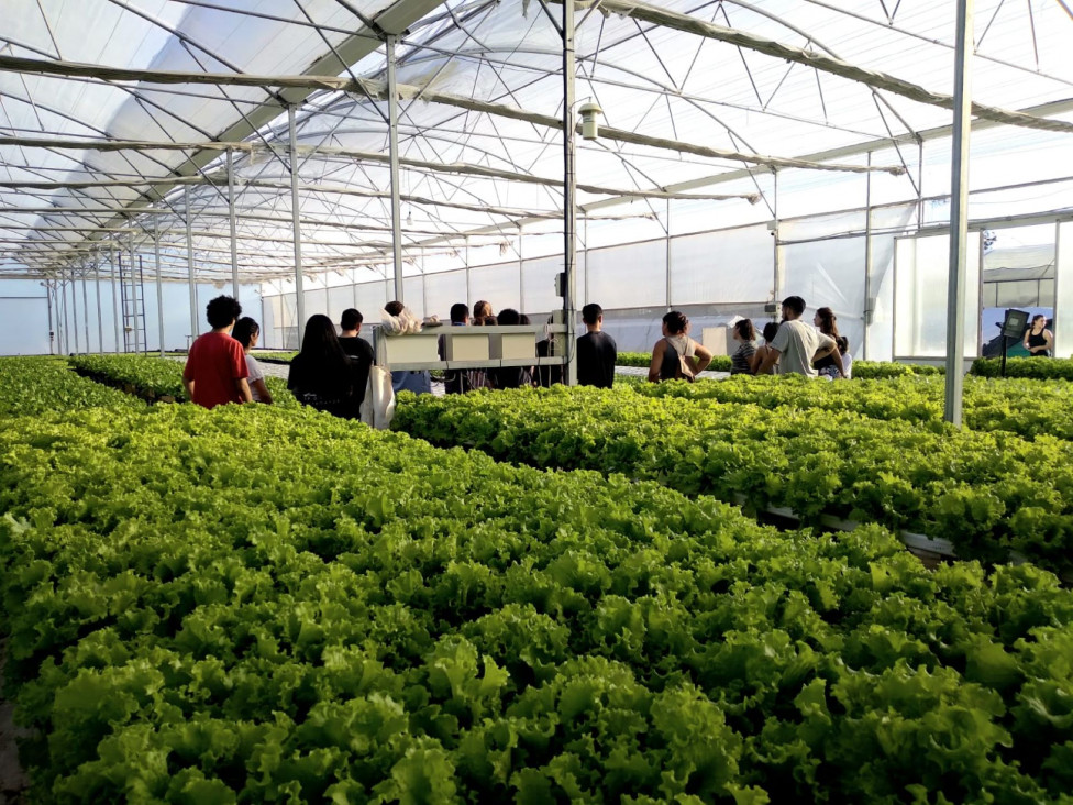 imagen Estudiantes se interiorizaron en la gestión del cultivo de hidroponía