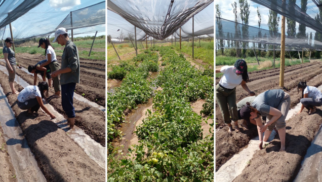 imagen Agroecología en ITU San Rafafel: el proyecto que se hará realidad gracias al Programa Mauricio López