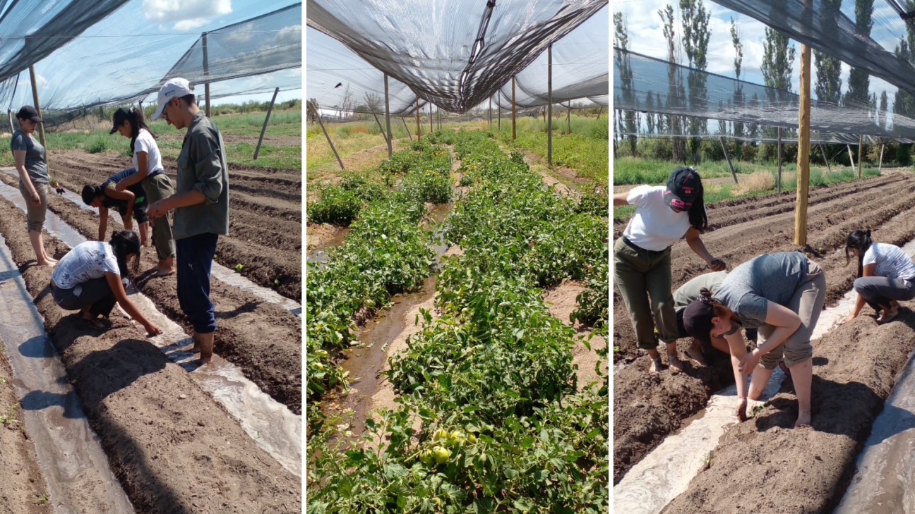 imagen Agroecología en ITU San Rafafel: el proyecto que se hará realidad gracias al Programa Mauricio López