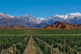 imagen Se realizó el Concurso internacional de vinos y Licores “La Mujer Elige”