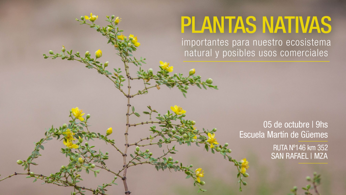 imagen Plantas Nativas Importantes para nuestro ecosistema natural. Usos comerciales