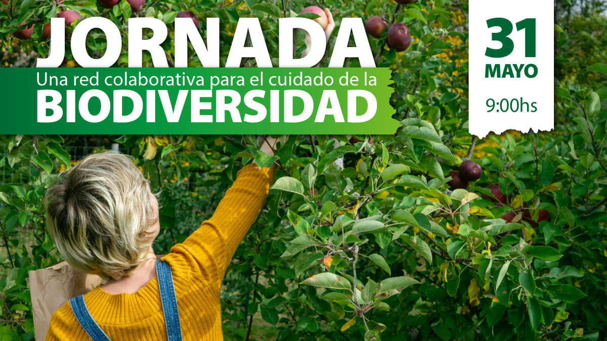imagen Una red colaborativa para el cuidado de la Biodiversidad